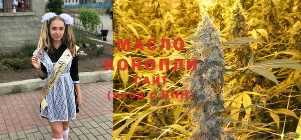хмурый Арсеньев