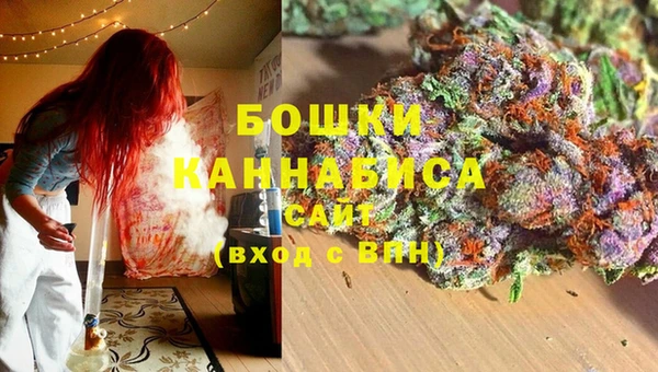ешки Алзамай