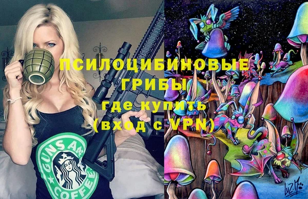 ПСИЛОЦИБИНОВЫЕ ГРИБЫ Алексин